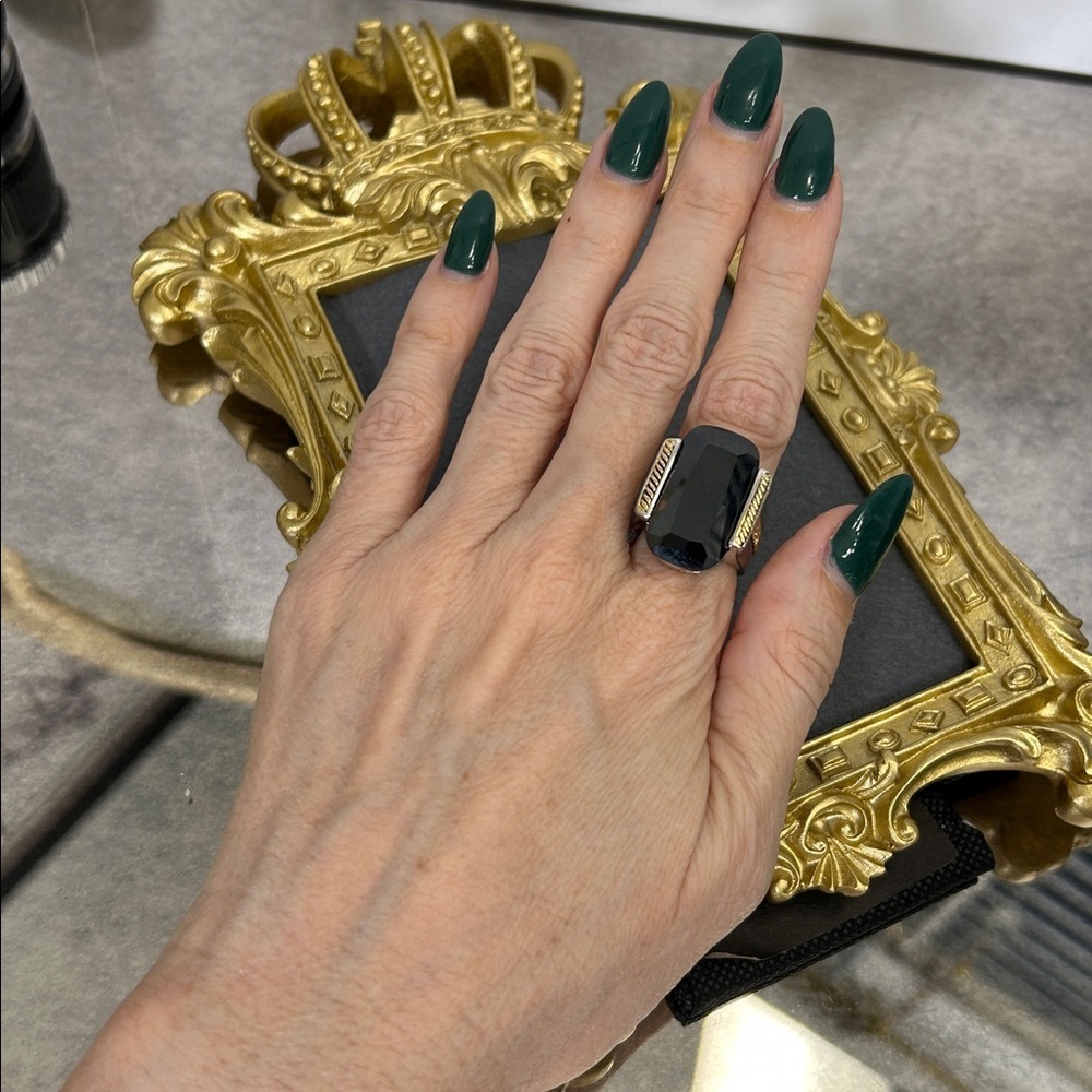 Black Tourmaline and 14KGE Statement Ring